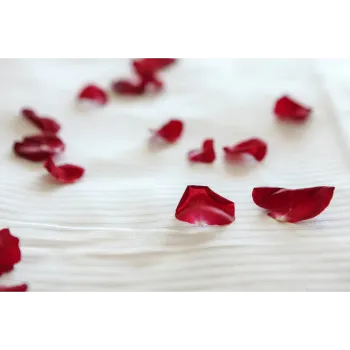 Fresh Rose Petal